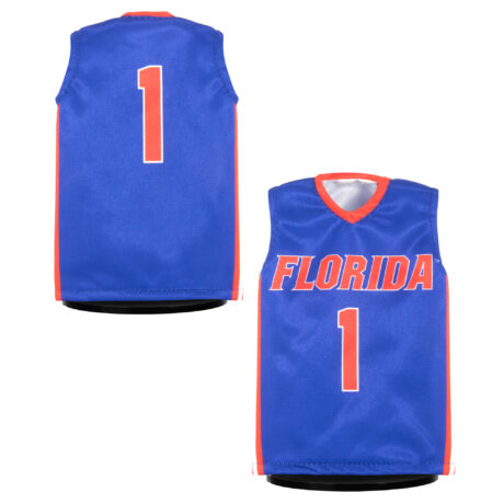 florida basketball mini jersey
